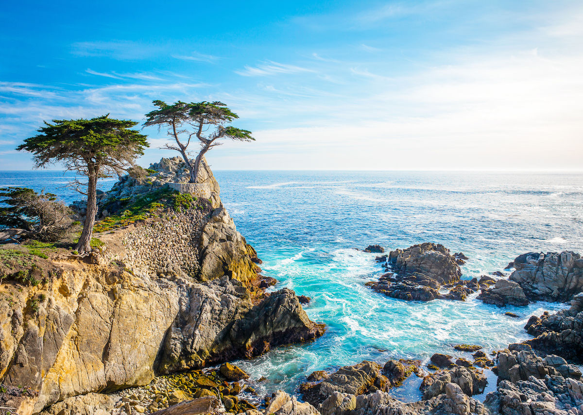 Lone Cypress on the Monterey Peninsula coastline along 17-Mile Drive