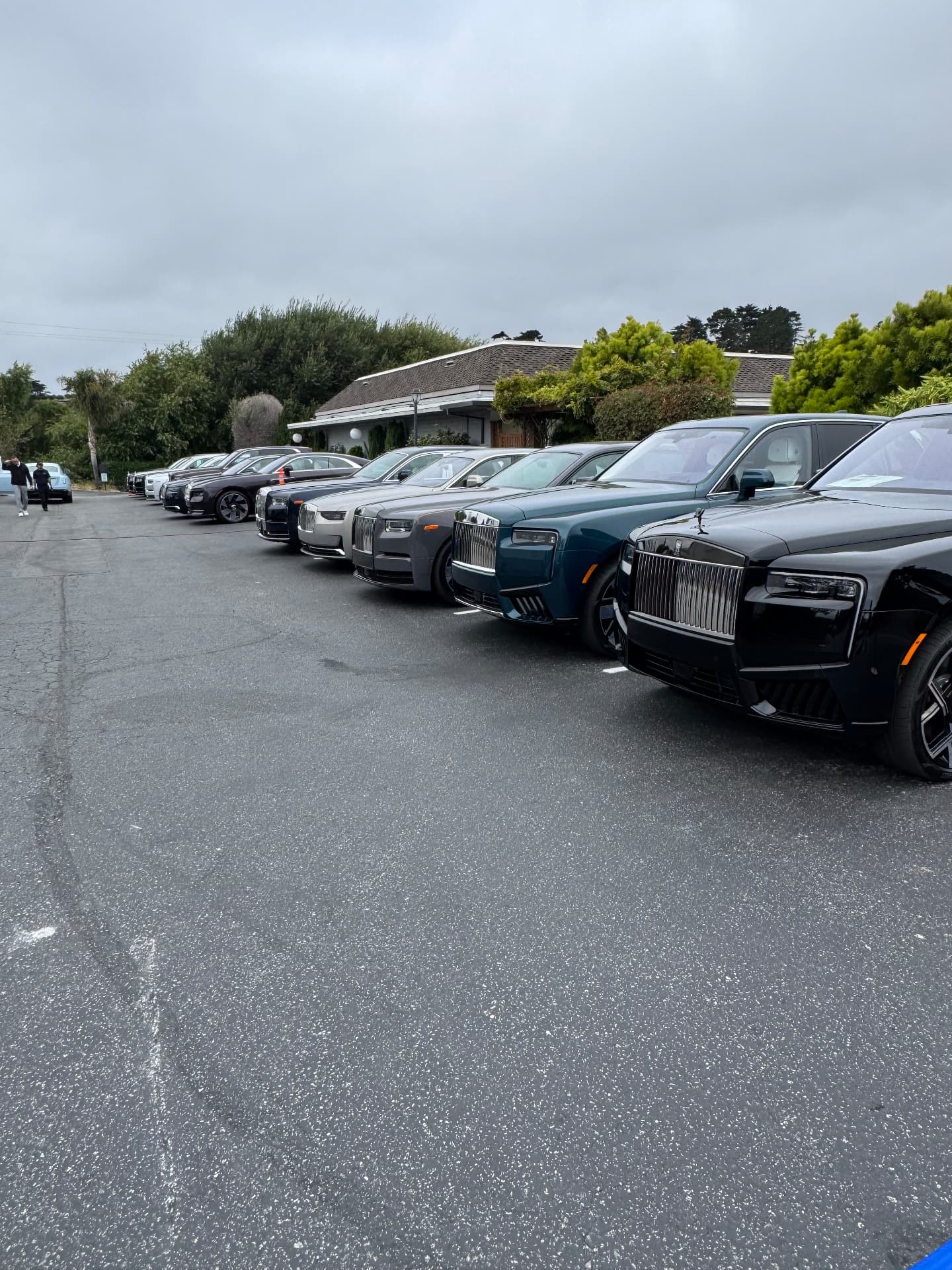 Lineup of freshly detailed Rolls-Royce luxury vehicles in Monterey