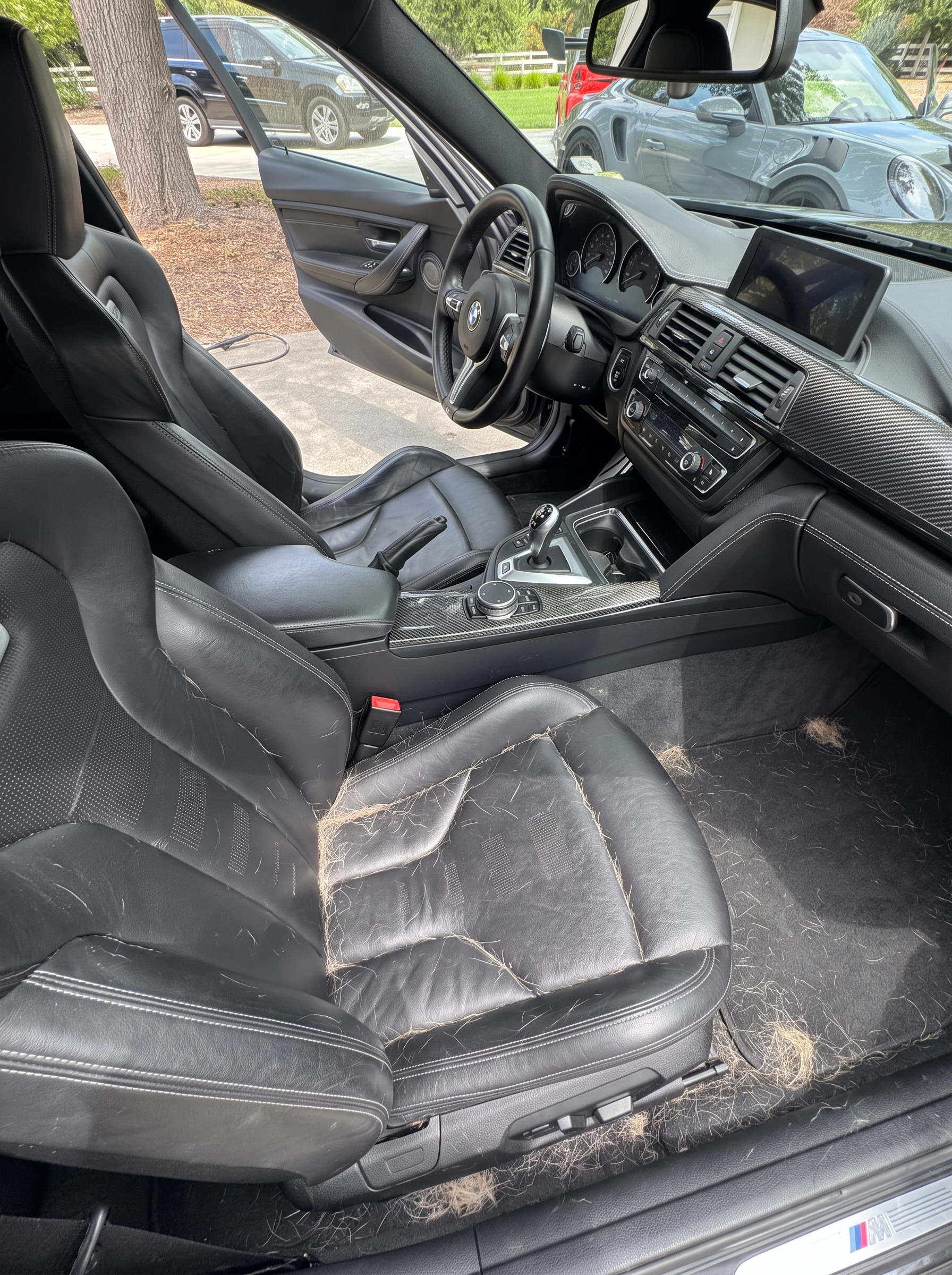 BMW interior before pet hair removal with dog hair across the seats and carpeting