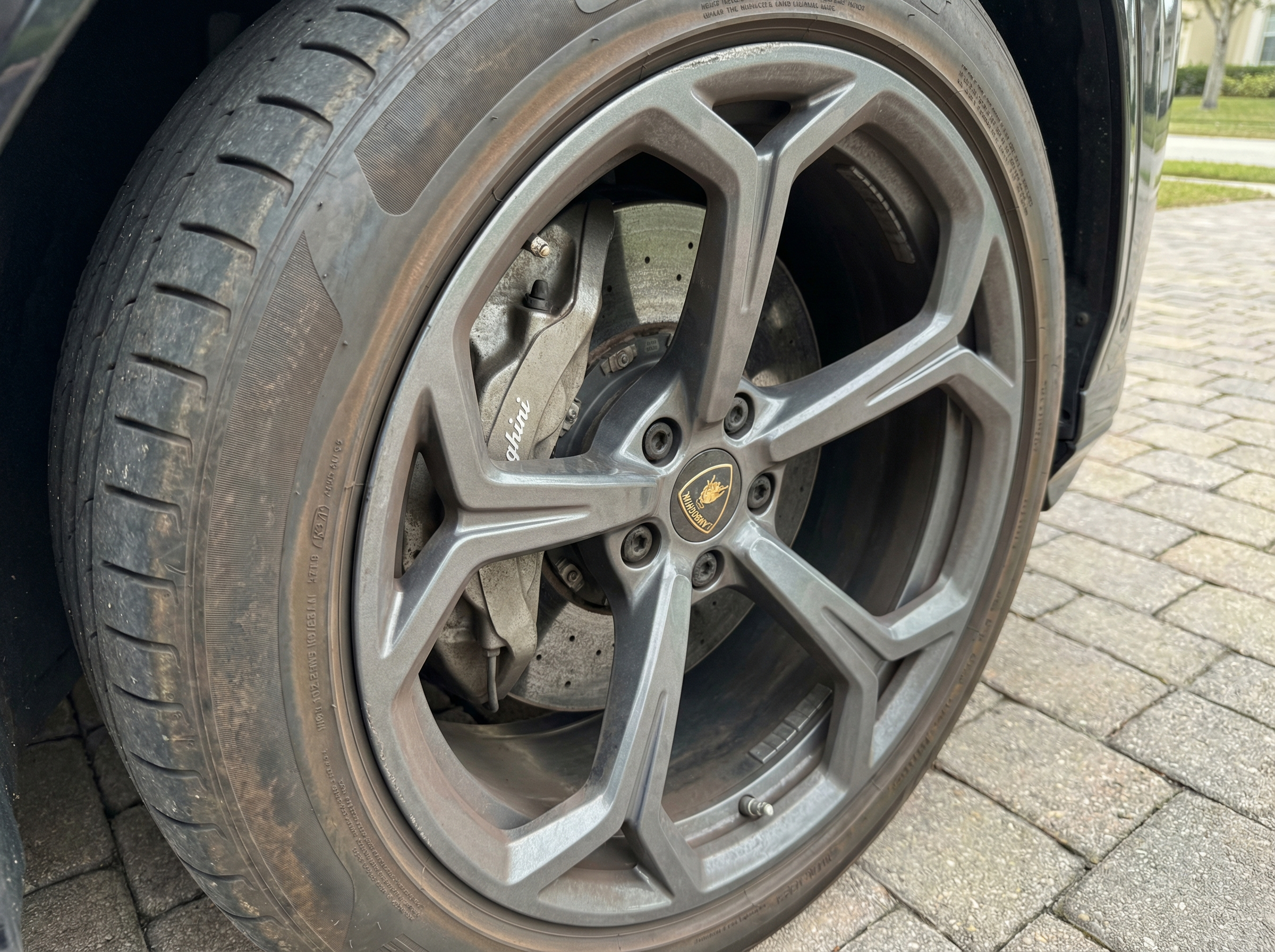 Before Detailing - Dirty Wheel